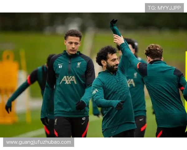 本菲卡创下俱乐部大选新纪录 85422名会员参与投票创新历史